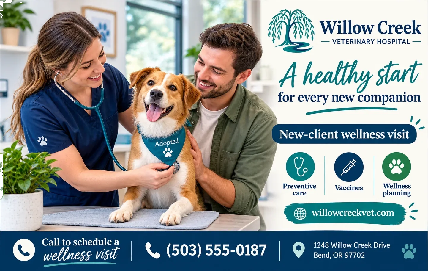 New-client postcard: a healthy start for every new companion, under the hospital’s own lockup, with a new-client wellness visit marked beneath it, preventive care, vaccines and wellness planning as three iconed marks, the hospital’s own web address across the middle, and call to schedule a wellness visit beside its phone number and street address along the foot.